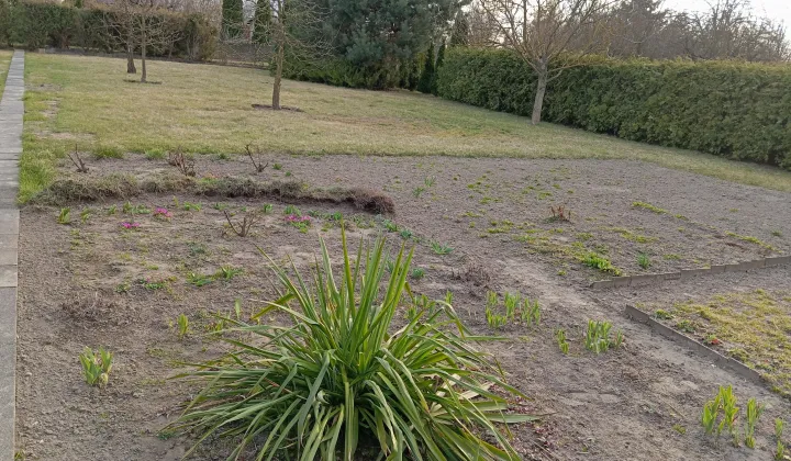 Działka rod Adamowice, Krośniewicka