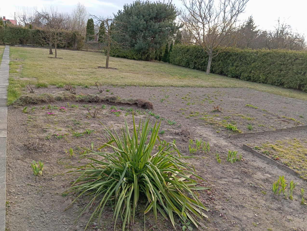 Działka rod Adamowice, Krośniewicka. Zdjęcie 1