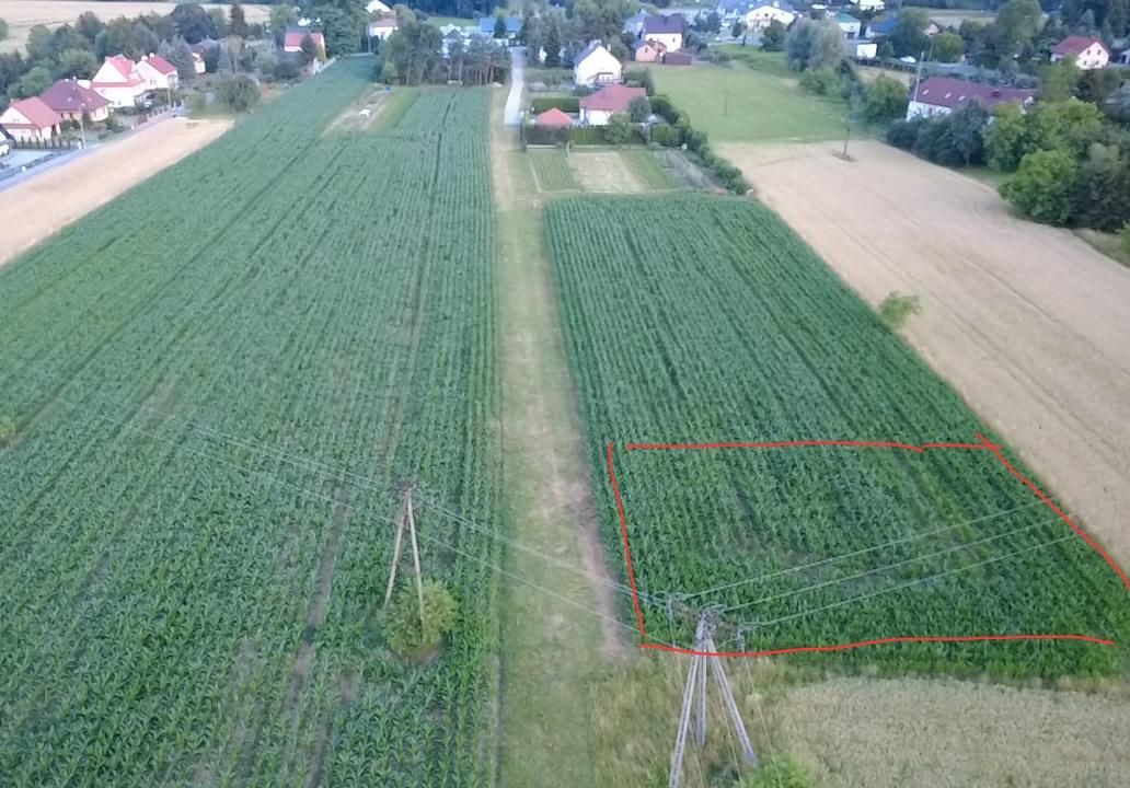 Działka budowlana Pilzno, ul. Stanisława Staszica. Zdjęcie 2