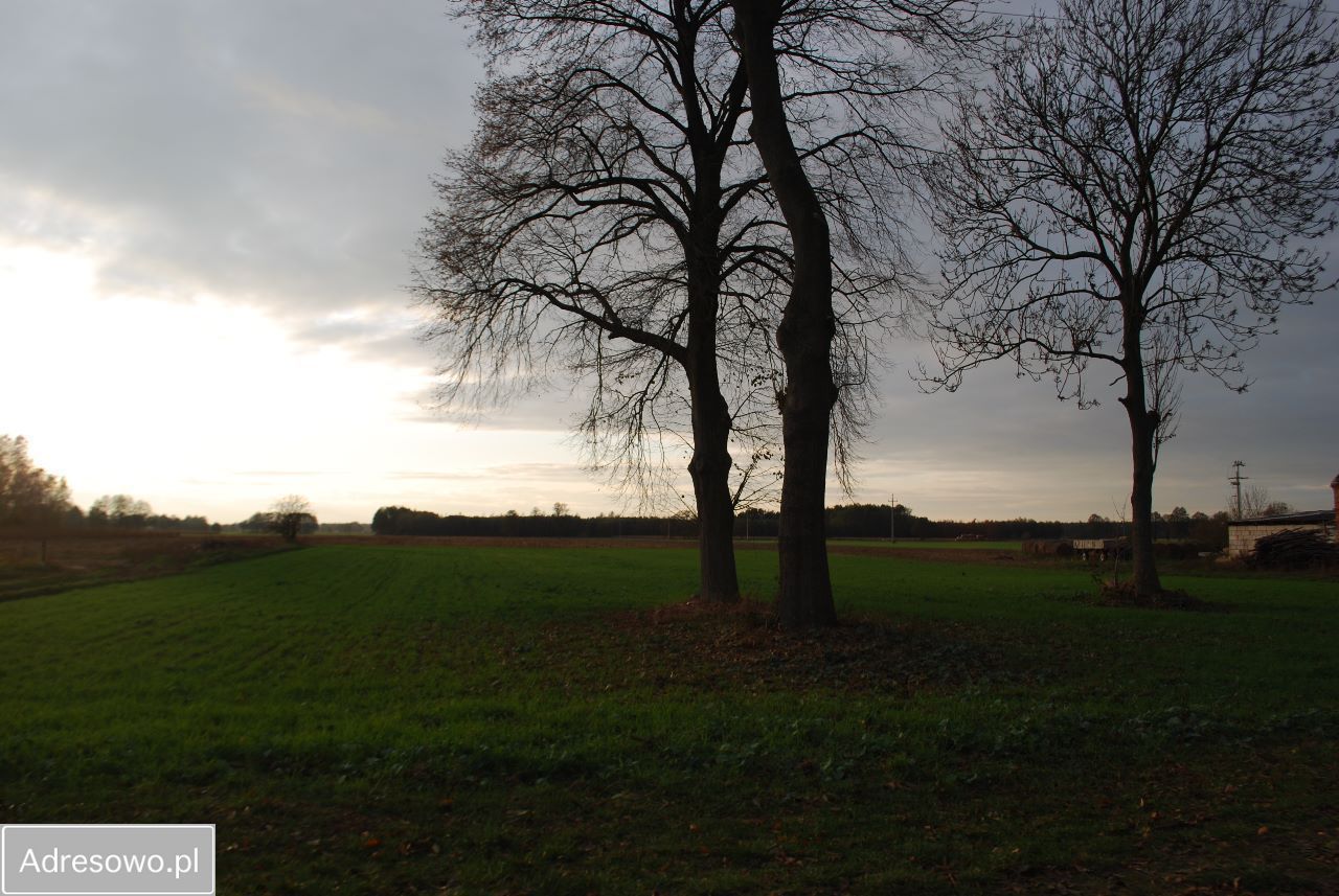 Działka siedliskowa Nowa Tuchorza. Zdjęcie 3