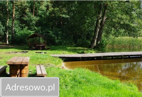 Działka rolno-budowlana Rąpin. Zdjęcie 7