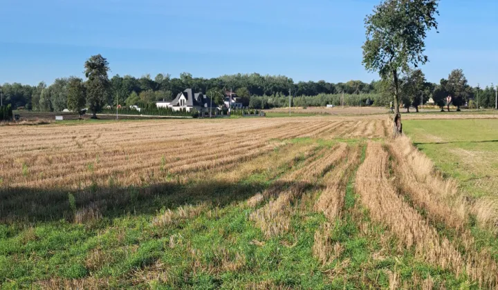 Działka budowlana Kroczewo