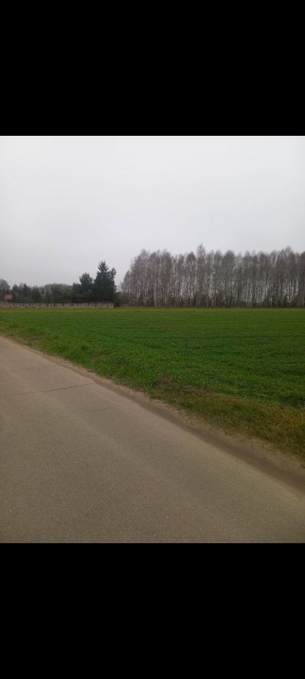 Działka budowlana Olszyc Szlachecki. Zdjęcie 2