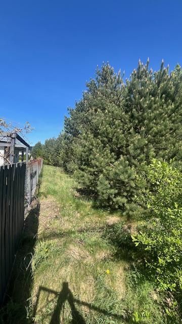 Działka budowlana Jachranka, ul. Wspólna. Zdjęcie 3