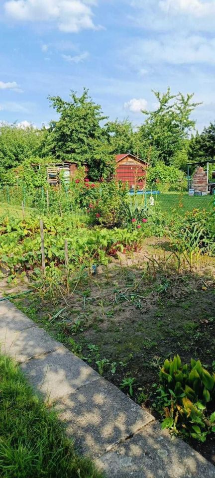 Działka rod Brzeg, ul. Wrocławska. Zdjęcie 5