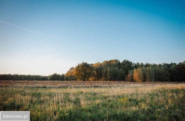 Działka budowlana Rybnik Zamysłów, ul. Niedobczycka. Zdjęcie 1