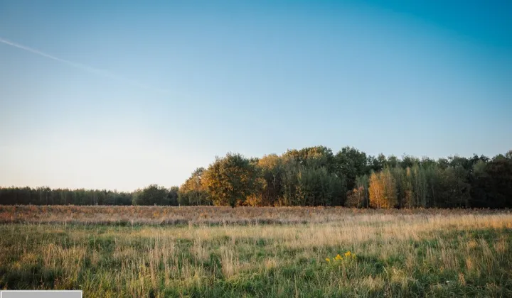 Działka budowlana Rybnik Zamysłów, ul. Niedobczycka