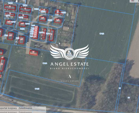 Działka rolna Mirosławice. Zdjęcie 4