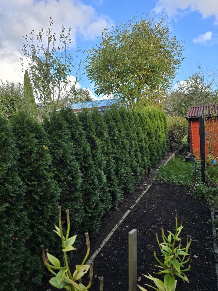 Działka rod Gdańsk Matarnia, ul. Sąsiedzka. Zdjęcie 14