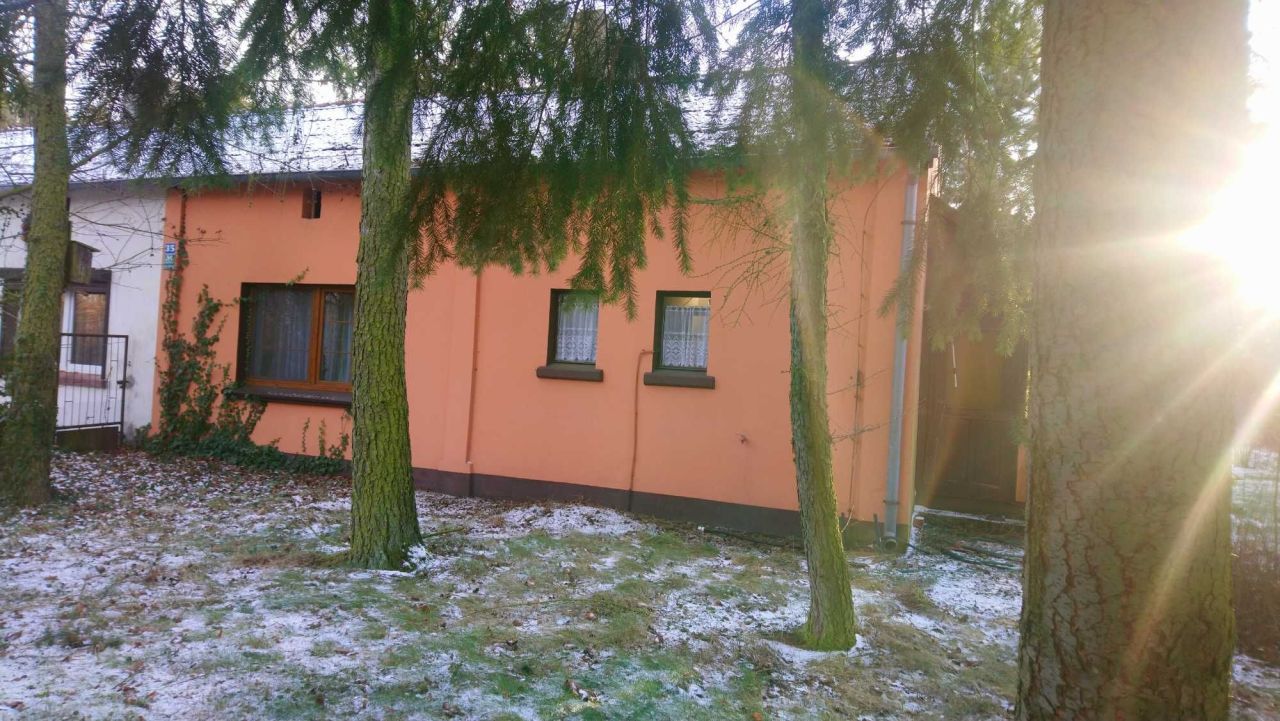 bliźniak Dziewiń Duży. Zdjęcie 6