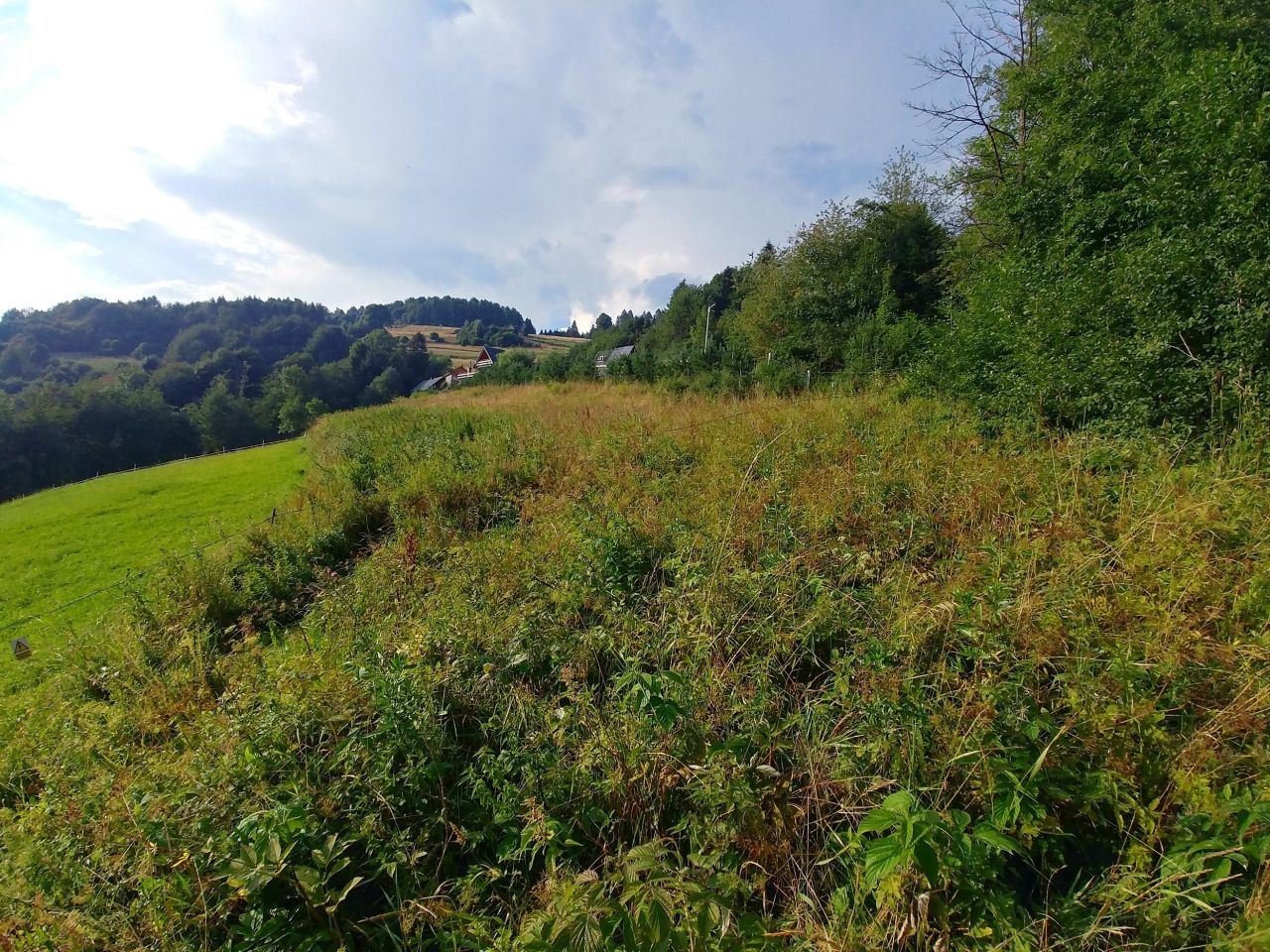 Działka rolna Szczawnica Kunie, ul. Bereśnik. Zdjęcie 7