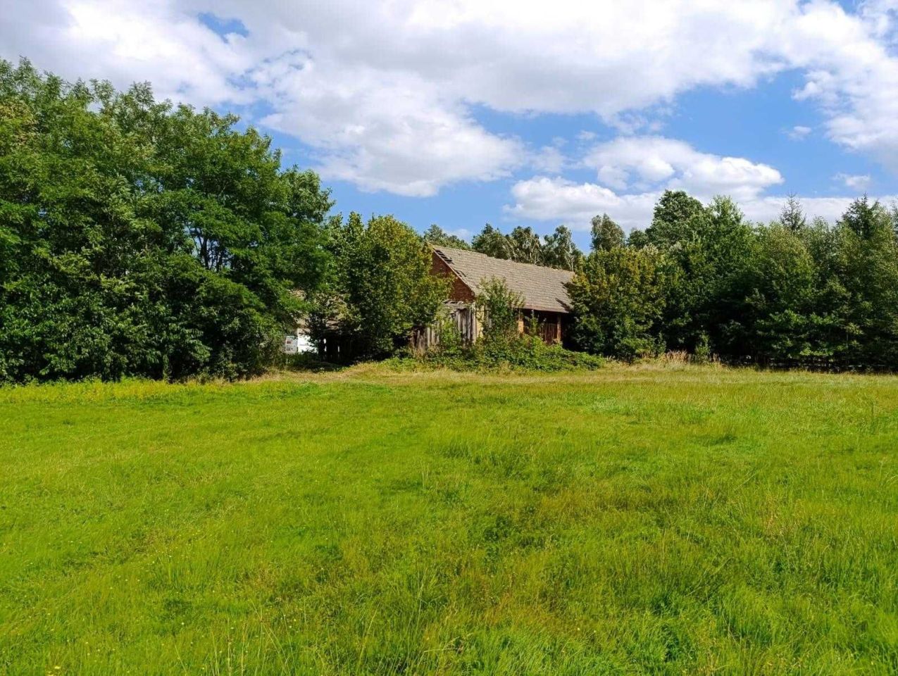 Działka rolno-budowlana Siedlików. Zdjęcie 3