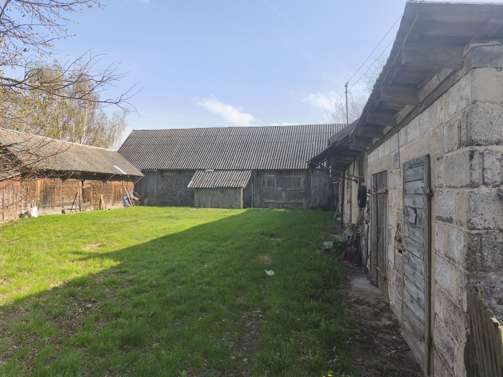 gospodarstwo Ściony. Zdjęcie 2