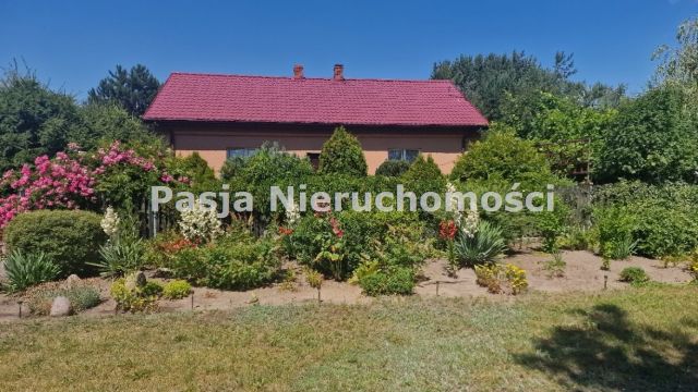 siedlisko Worowice-Wyroby. Zdjęcie 2