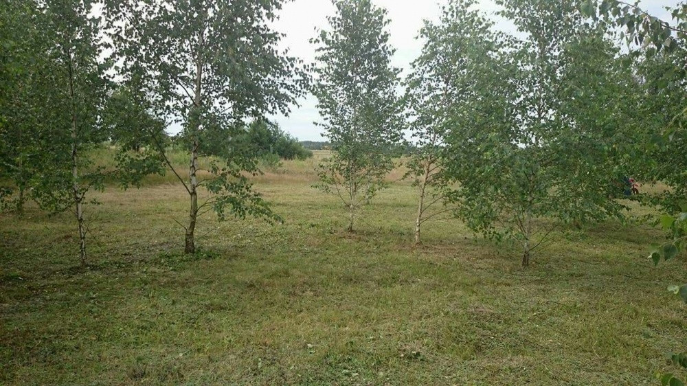 Działka budowlana Żelechów. Zdjęcie 4