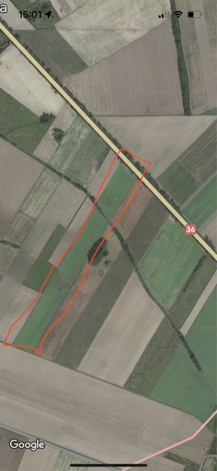 Działka inwestycyjna Gogołowice. Zdjęcie 2