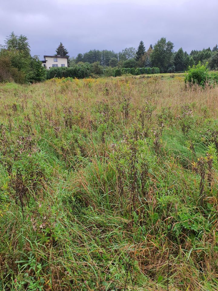 Działka budowlana Żywiec Zabłocie, ul. Łęgowa