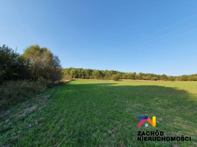 Działka budowlana Drągowina. Zdjęcie 8