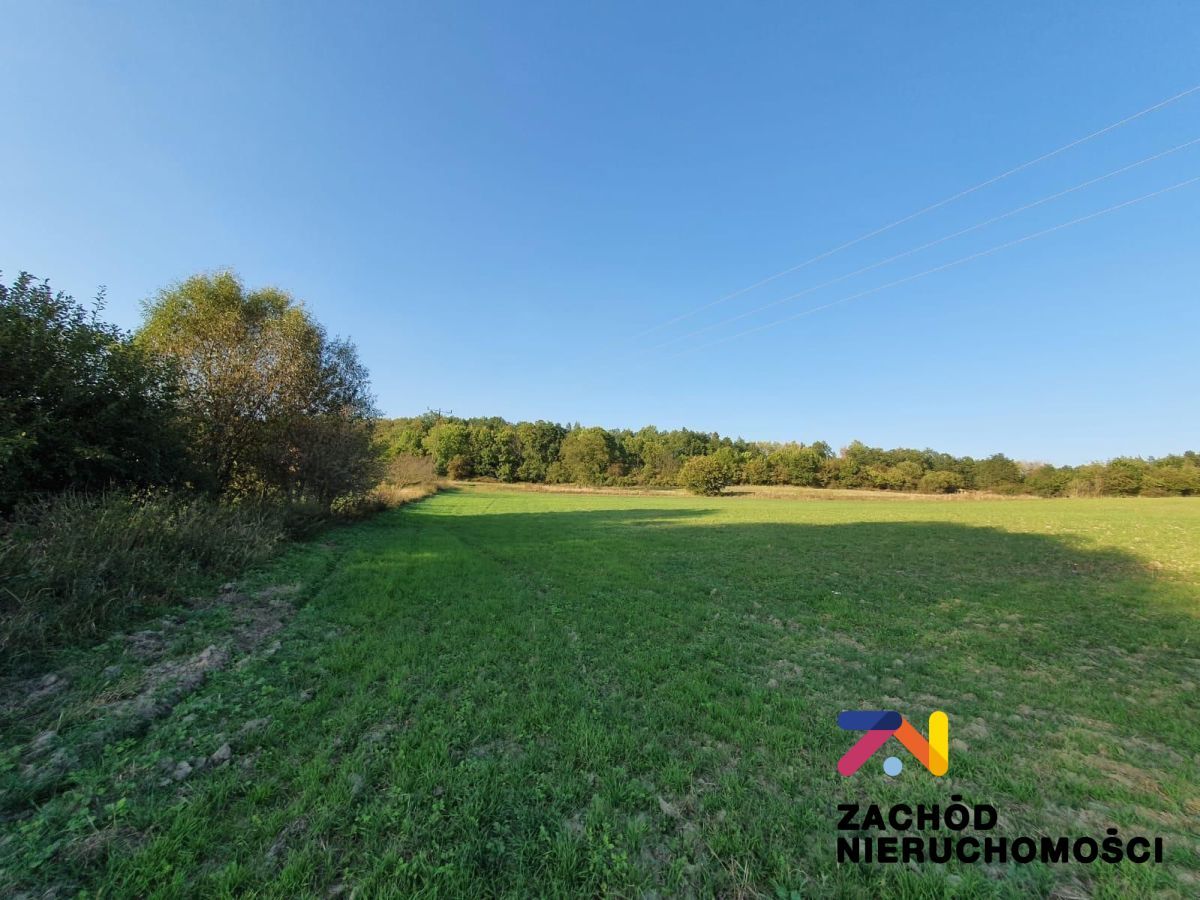 Działka budowlana Drągowina. Zdjęcie 8