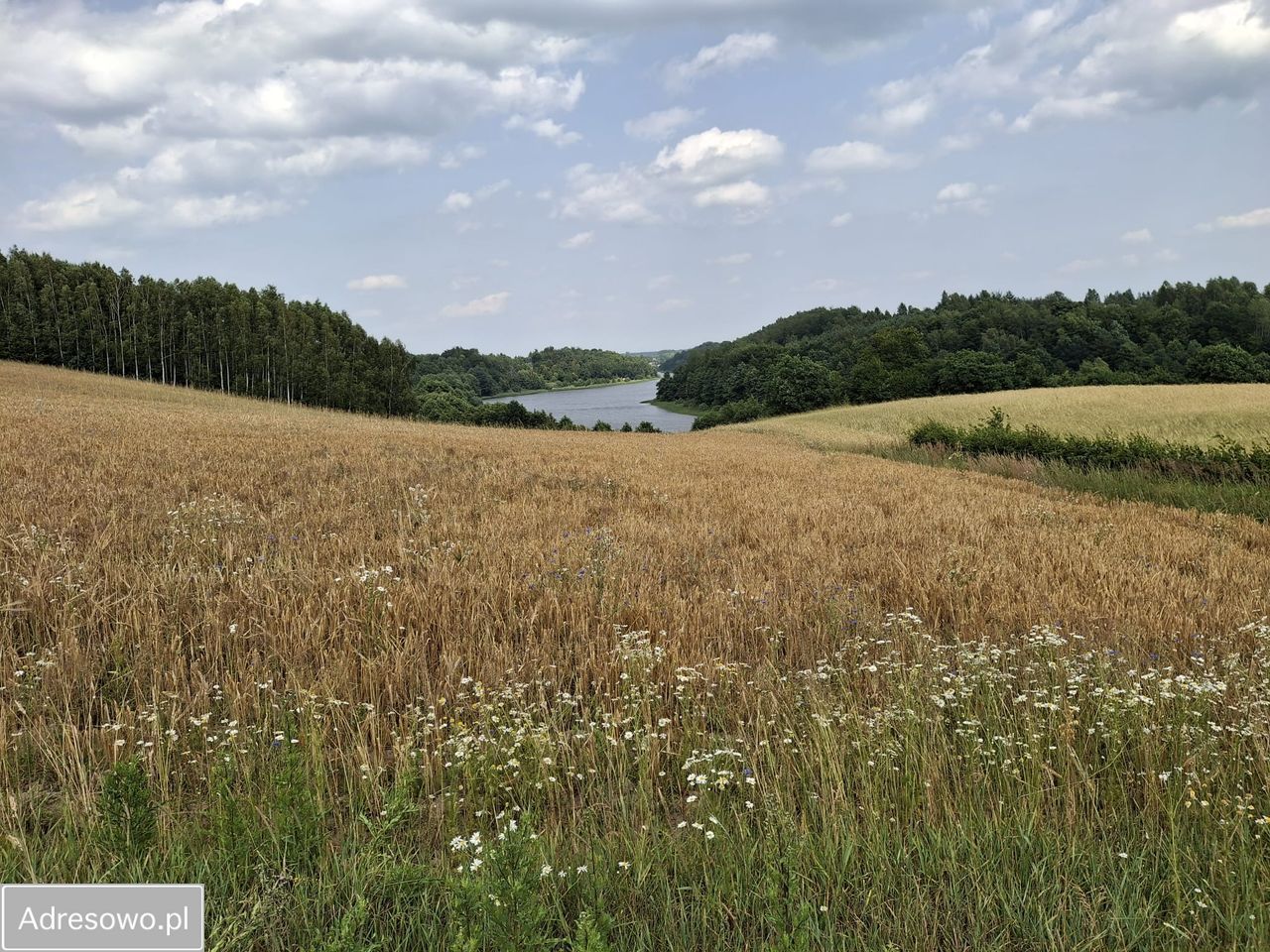 Działka budowlana Połęczyno, ul. na Wzgórzu. Zdjęcie 9