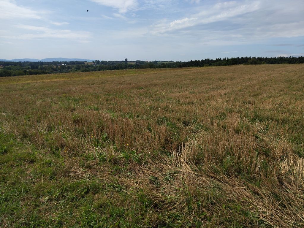 Działka budowlana Biesna. Zdjęcie 5