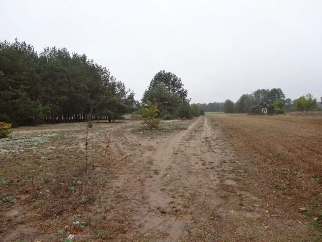 Działka rolno-budowlana Kiciny. Zdjęcie 1