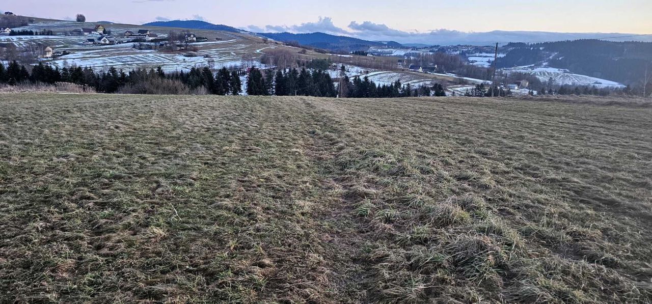 Działka budowlana Koniuszowa. Zdjęcie 7