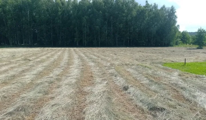 Działka budowlana Chrząstowice