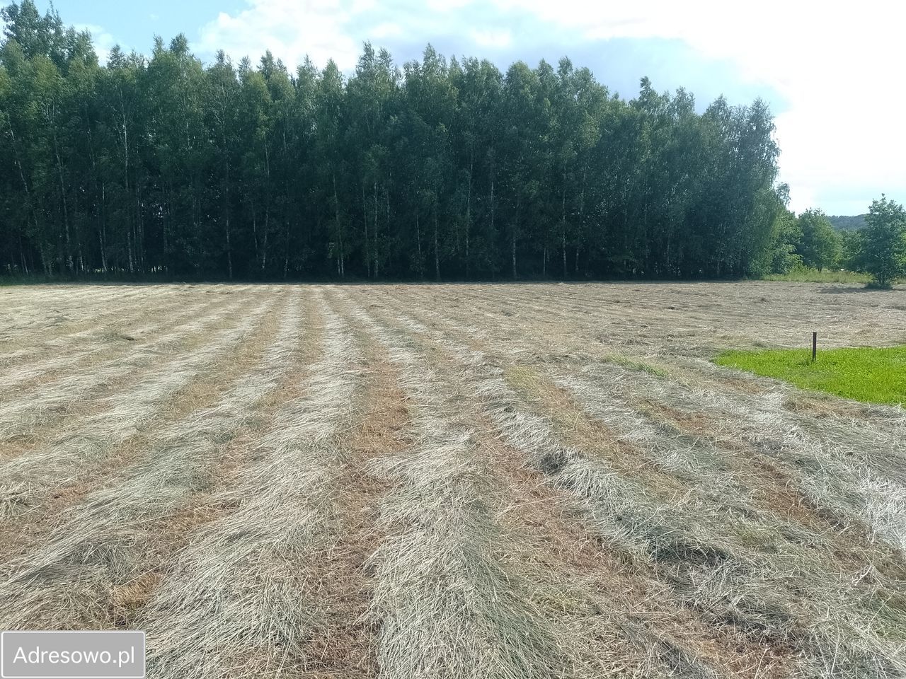 Działka budowlana Chrząstowice. Zdjęcie 1