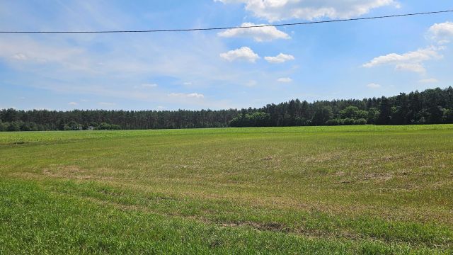 Działka rolno-budowlana Zławieś Mała. Zdjęcie 1