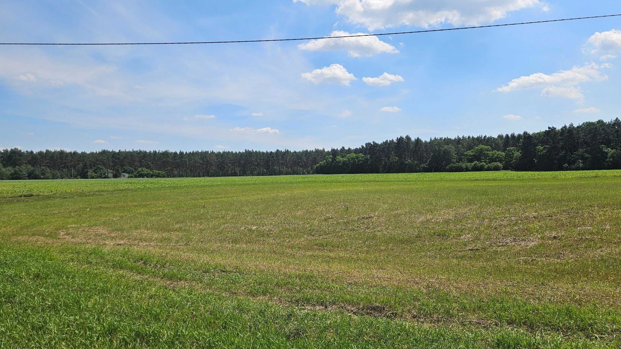 Działka rolno-budowlana Zławieś Mała. Zdjęcie 1