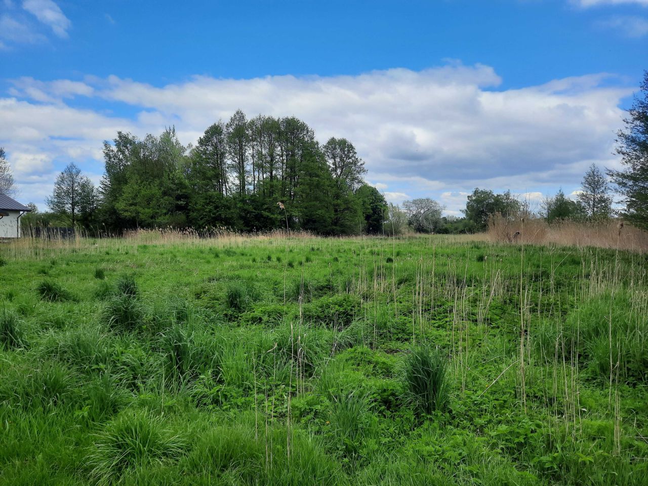 Działka rolna Kiełpin. Zdjęcie 3