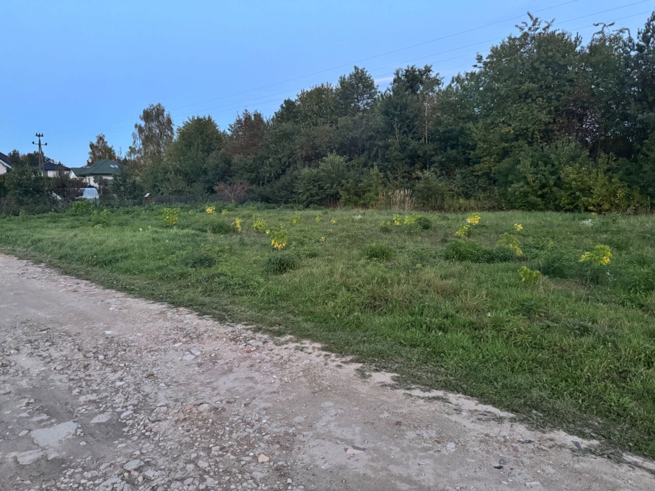 Działka rolno-budowlana Borowa Góra, ul. Dereniowa. Zdjęcie 6