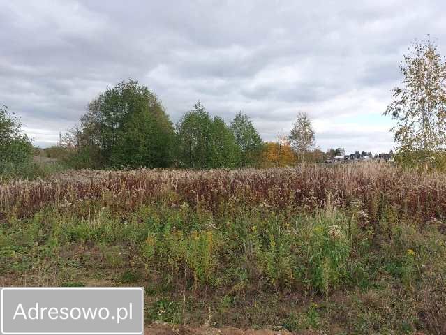 Działka budowlana Falenty Nowe, ul. Szafranowa. Zdjęcie 1