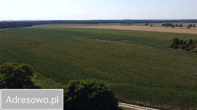 Działka rolno-budowlana Trzebaw. Zdjęcie 6