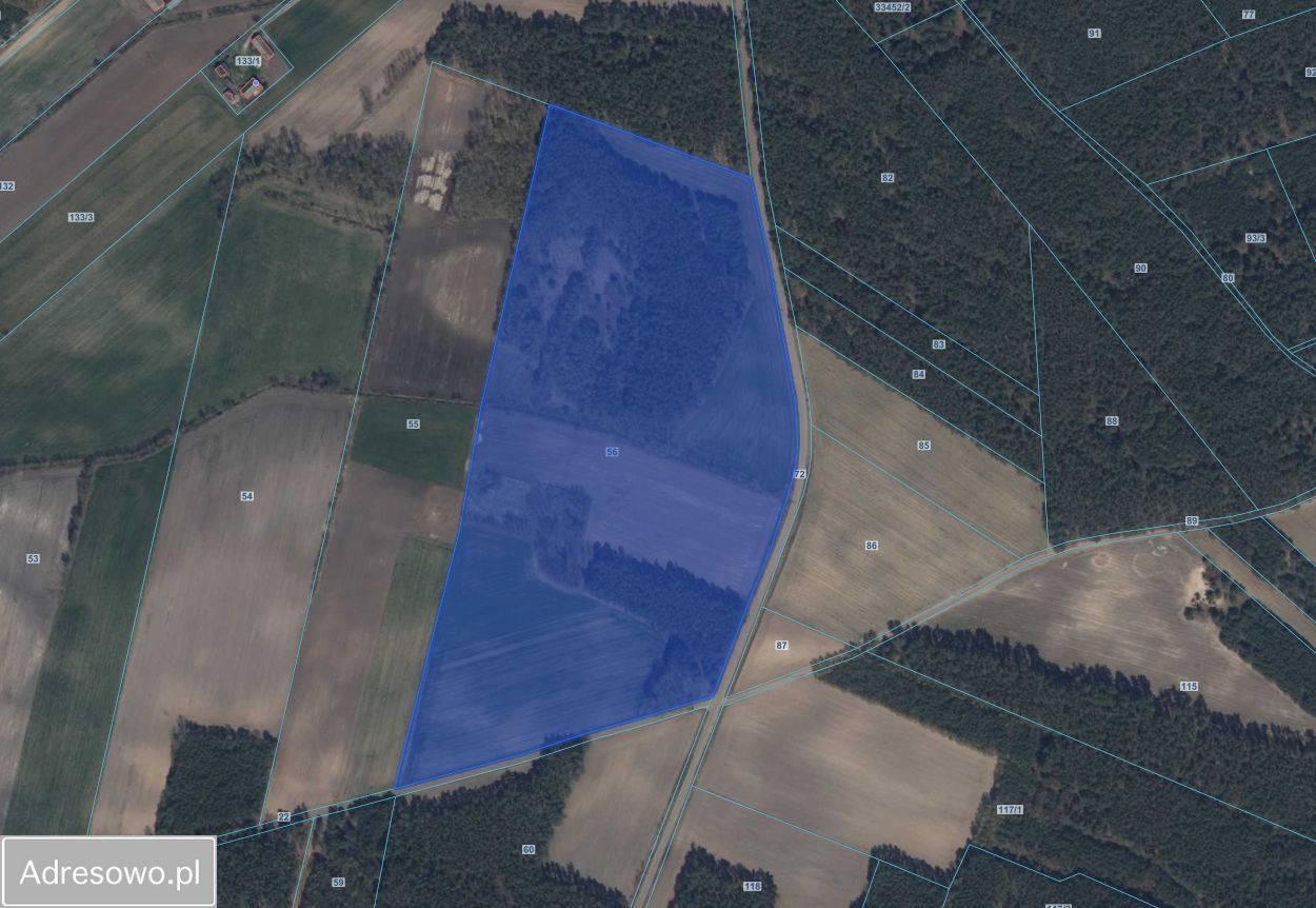 Działka rolna Pijawnia. Zdjęcie 12