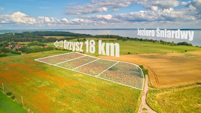 Działka rolna Dziubiele. Zdjęcie 6