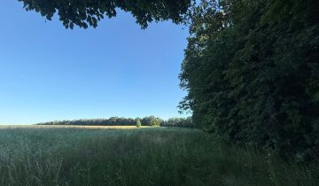 Działka siedliskowa Grzegorzowice