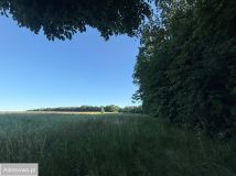 Działka siedliskowa Grzegorzowice. Zdjęcie 1