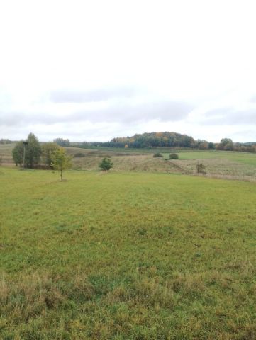 Działka rolno-budowlana Pożarki. Zdjęcie 1