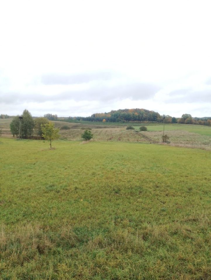 Działka rolno-budowlana Pożarki. Zdjęcie 1