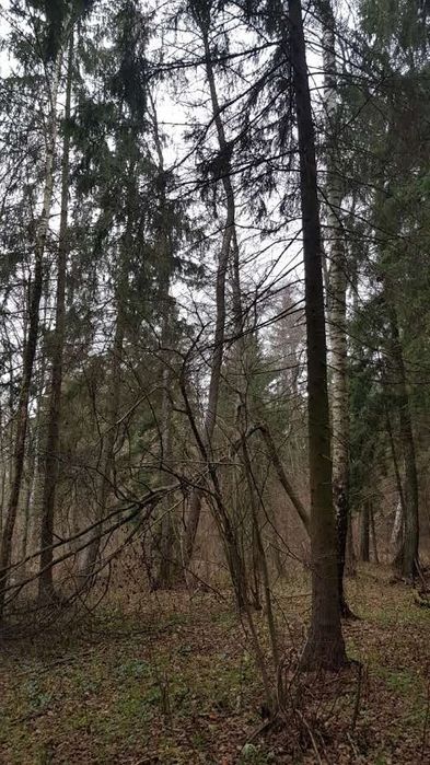 Działka Rubcowo. Zdjęcie 2