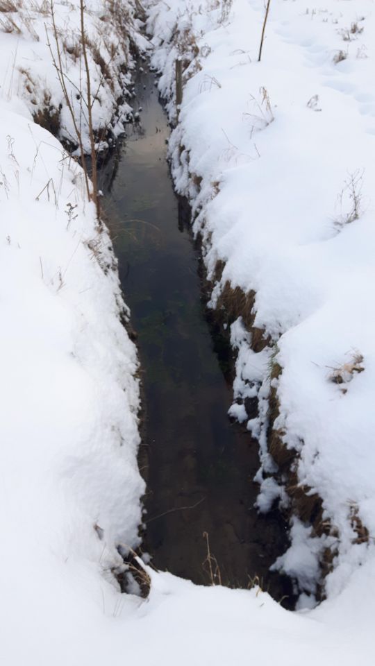 Działka budowlana Mierzyno. Zdjęcie 4