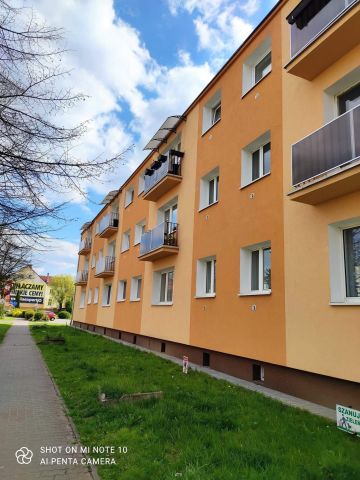 Mieszkanie 3-pokojowe Sulęcin, ul. Tadeusza Kościuszki. Zdjęcie 1