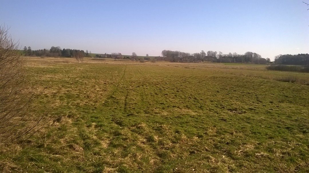 Działka rolna Sulicice Ameryka. Zdjęcie 9