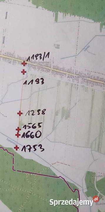 Działka budowlana Aleksandrów Aleksandrów Trzeci. Zdjęcie 3