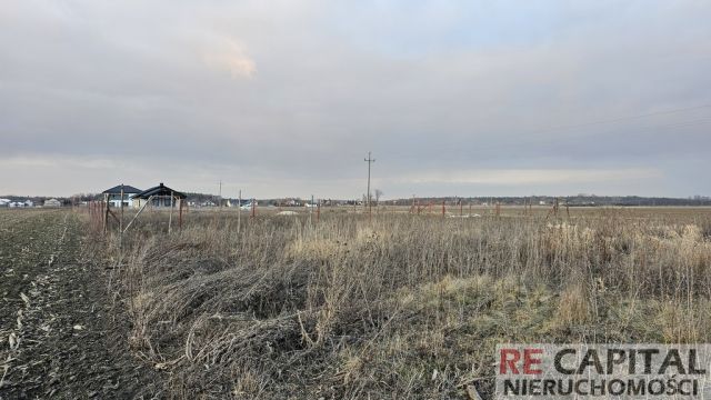 Działka budowlana Zaborówek. Zdjęcie 5