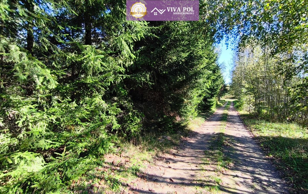 Działka budowlana Mrągowo. Zdjęcie 4