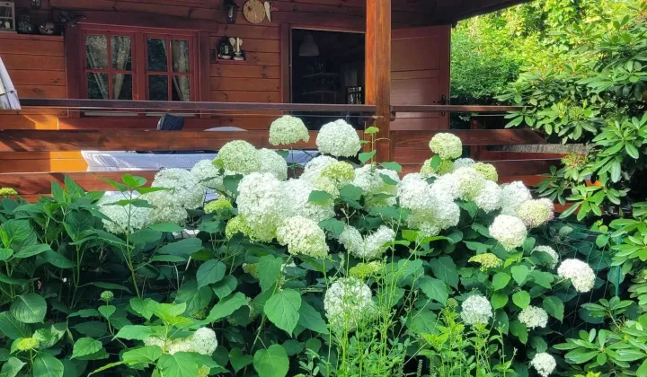 Działka rod Komorów