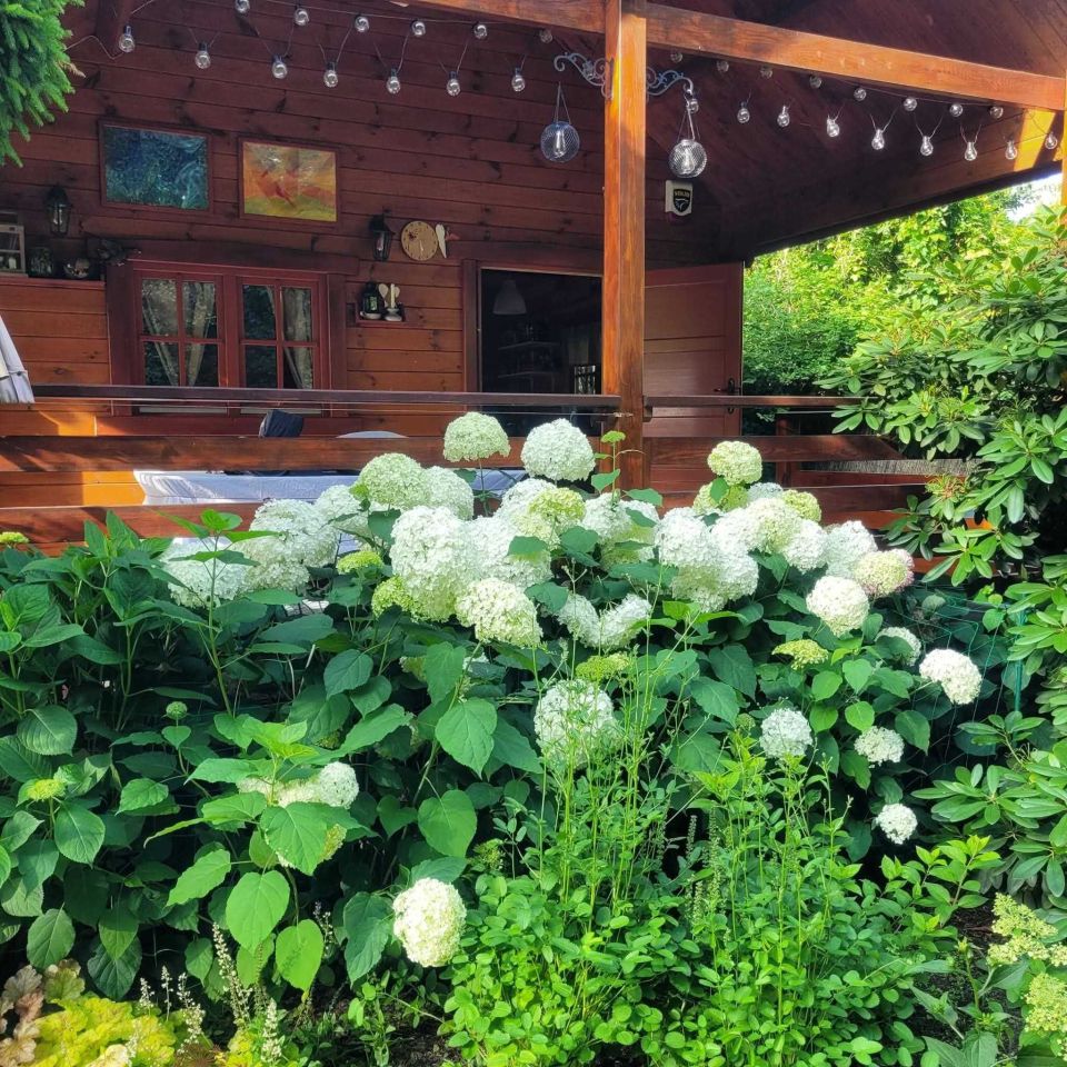 Działka rod Komorów. Zdjęcie 1